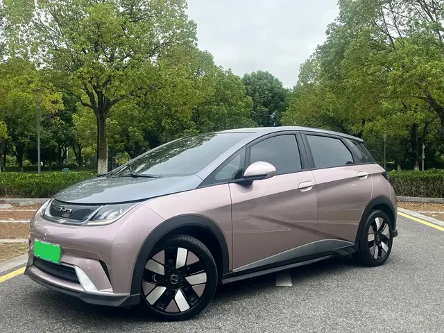 BYD Dolphin 2021 401km Knight Edition