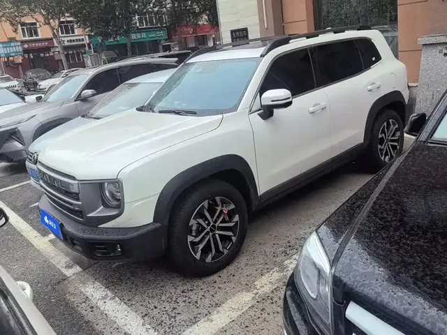 Haval Big Dog 2024 1.5T DCT Border Collie Edition