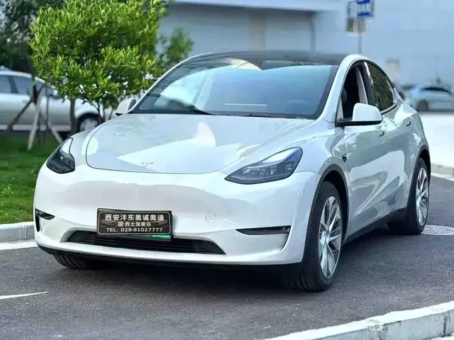 Tesla Model Y 2021 Standard Range Rear-Wheel Drive