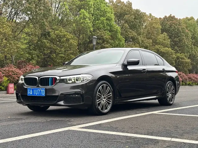 BMW 5 Series 2019 530Li Leading M Sport Package
