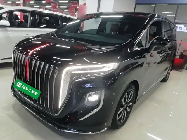 Hongqi HQ9 2023 2.0T Smart Connect Flag Smooth Edition