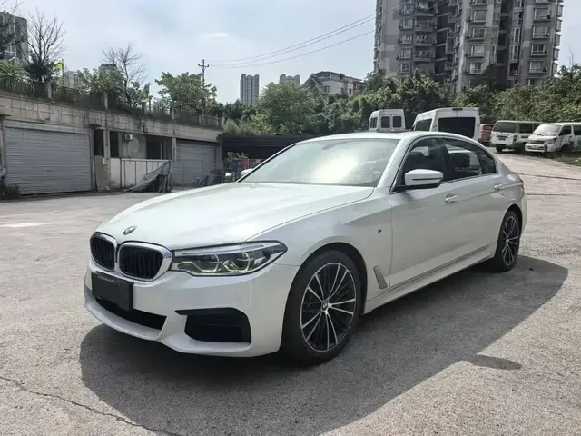 BMW 5 Series 2020 530Li Leading M Sport Package