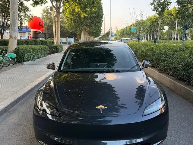 Tesla Model 3 2025 Model Rear-Wheel Drive Edition