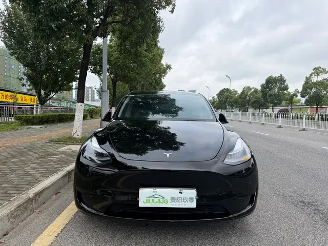 Tesla Model Y 2022 Rear-Wheel Drive Version