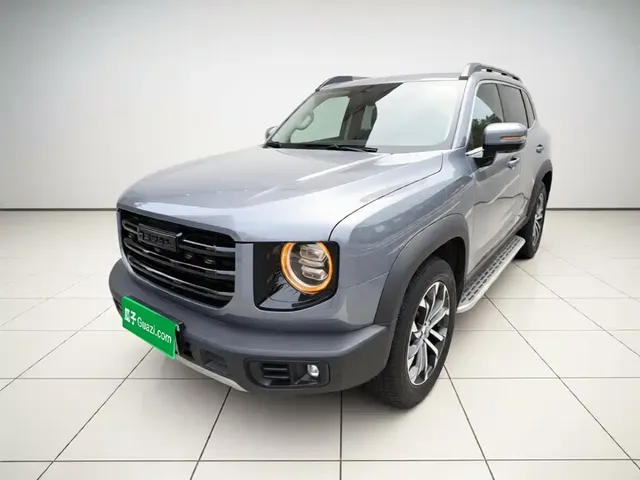 Haval Big Dog 2022 1.5T DCT FWD Border Collie Edition