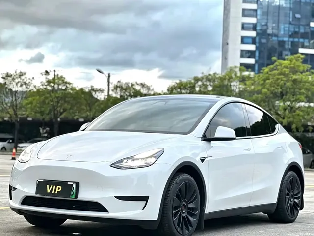 Tesla Model Y 2022 Rear-Wheel Drive Version