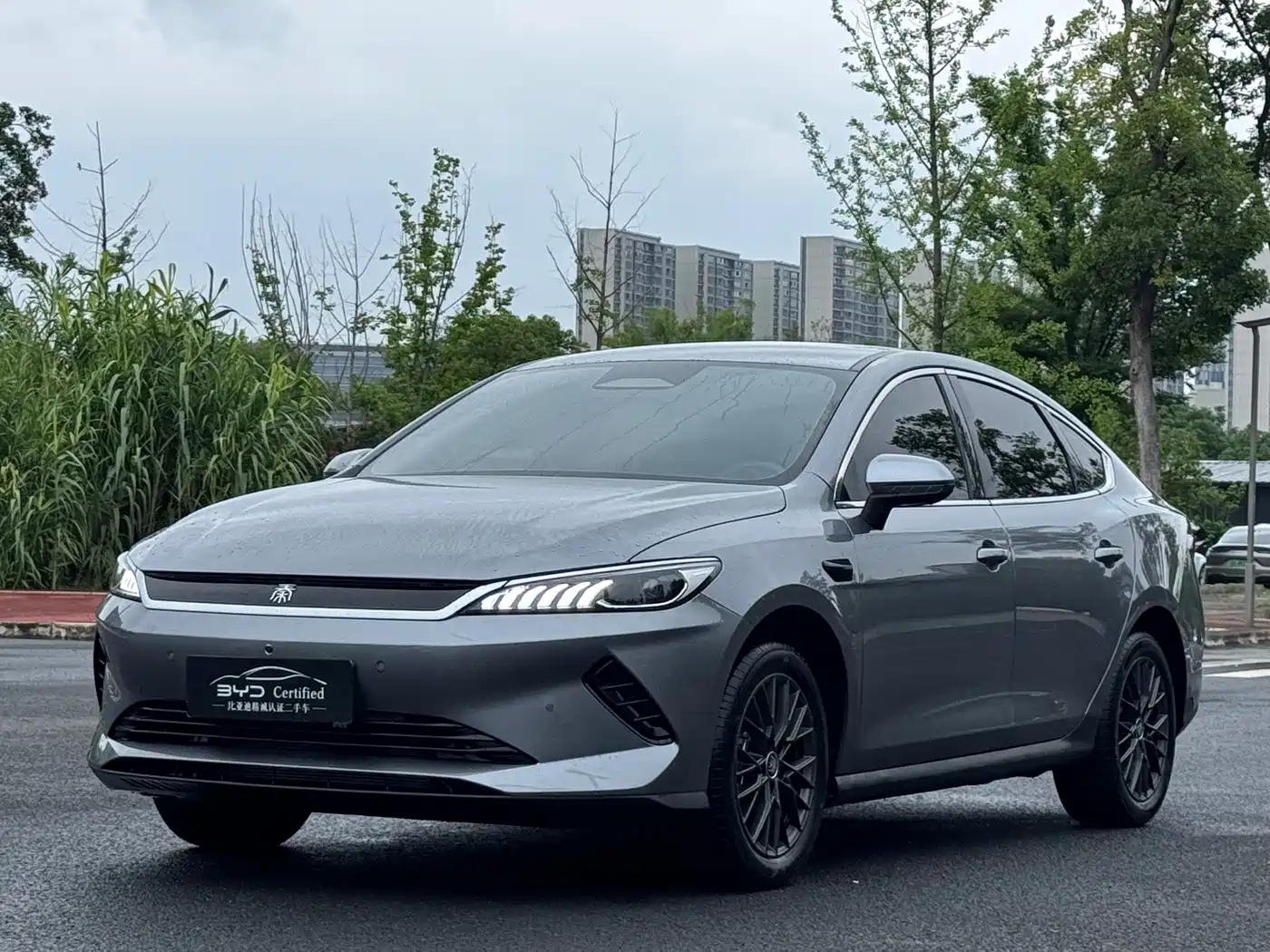 BYD Qin PLUS 2025 EV Smart Drive Edition 510KM Leading Type