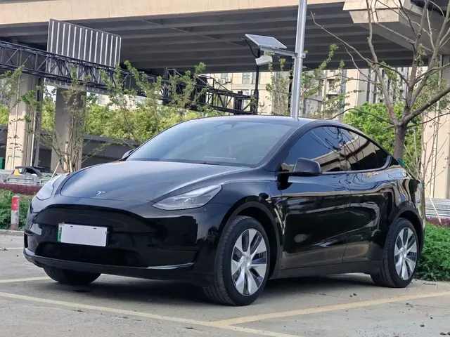 Tesla Model Y 2022 Rear-Wheel Drive Version