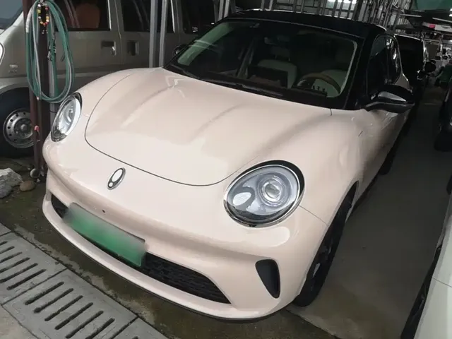 Ora Good Cat 2025 Model 430km Luxury