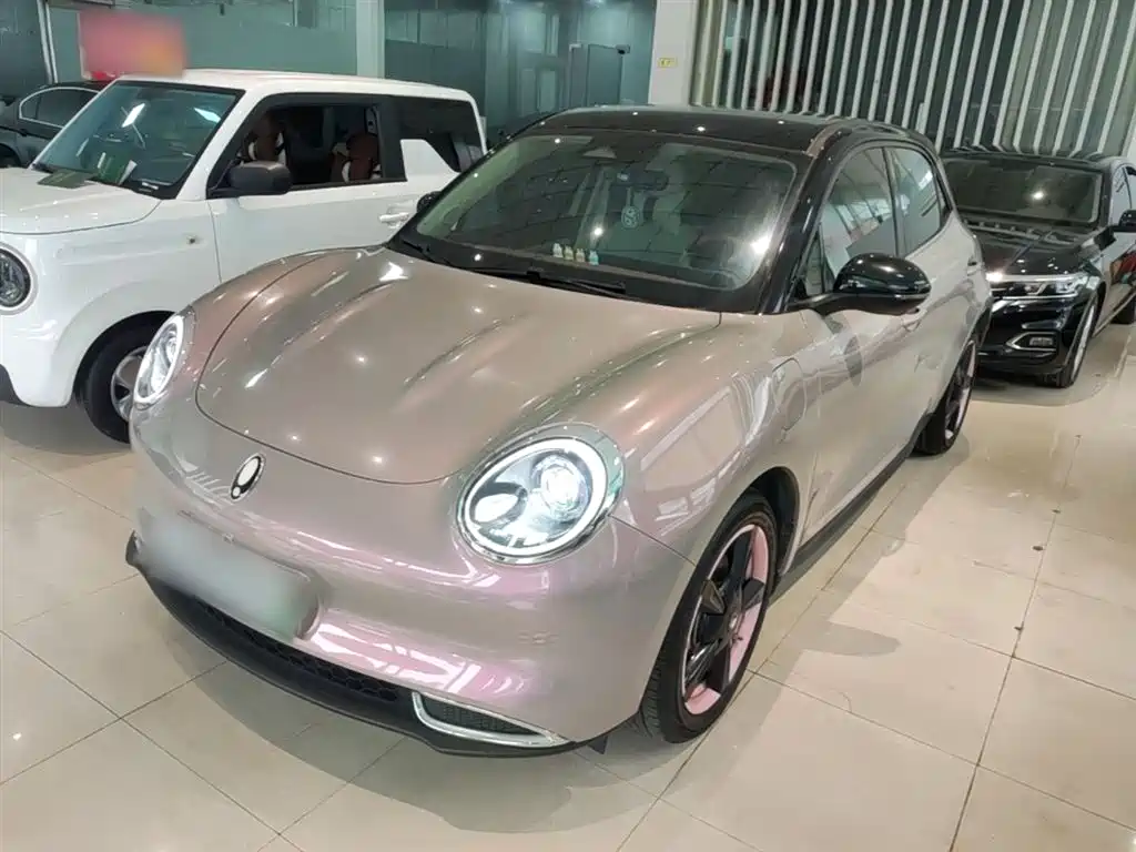 Ora Good Cat 2023 401km Standard Range Luxury LFP
