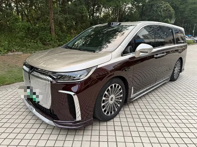 Voyah Auto Voyah Dreamer 2026 EV Smart Pure Electric Edition