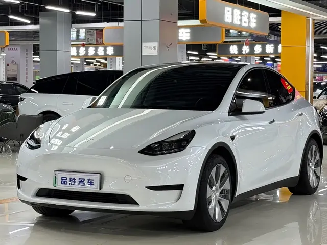 Tesla Model Y 2022 Rear-Wheel Drive Version
