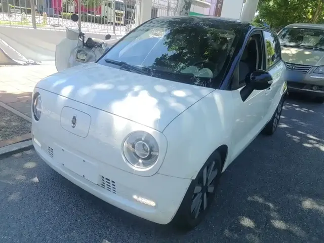 Ora Black Cat 2021 351km Luxury Model