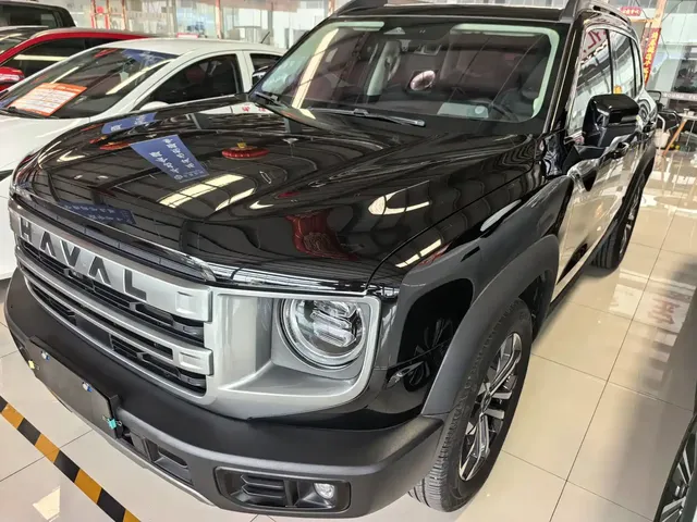 Haval Big Dog 2024 1.5T DCT Border Collie Edition