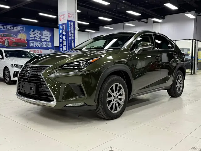 Lexus NX 2020 200 AWD F Sport China VI