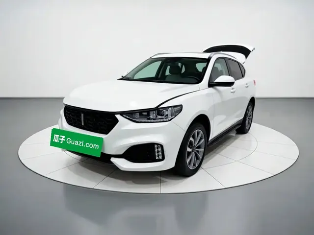 WEY VV6 2018 2.0T 2WD Super Luxury China V