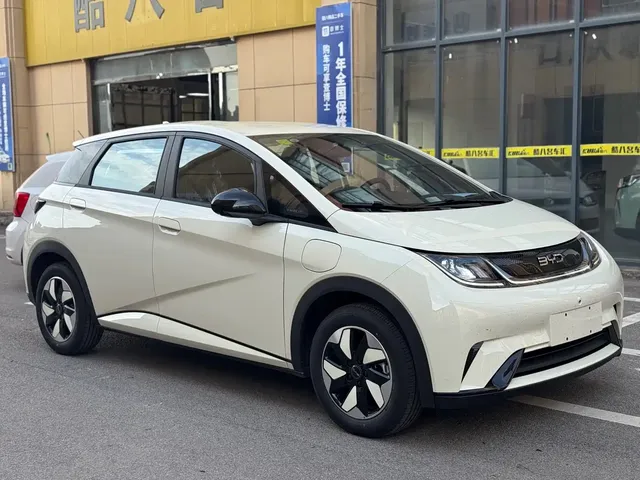 BYD Dolphin 2025 420km Freedom Edition