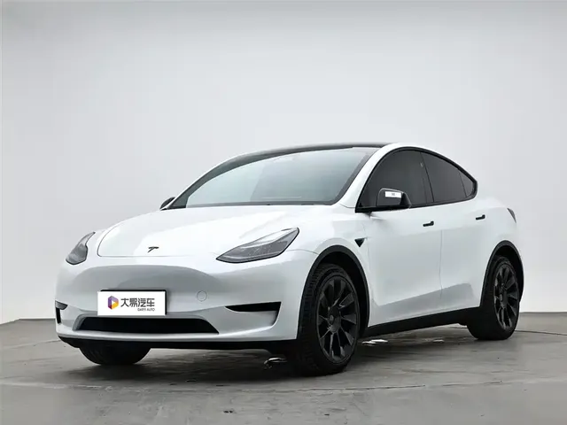 Tesla Model Y 2024 Rear-Wheel Drive Version