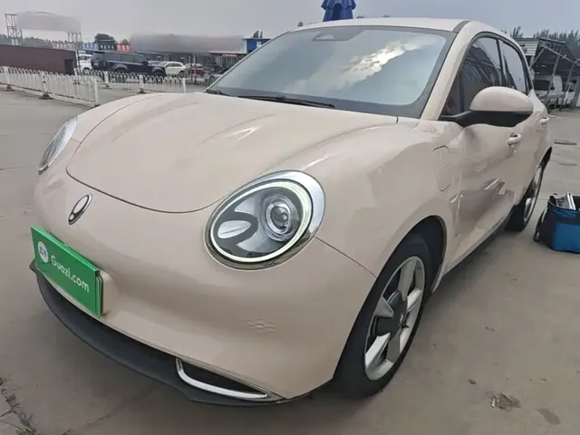 Ora Good Cat 2022 400km Standard Range Luxury LFP