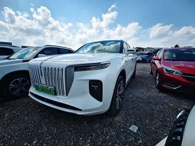 Hongqi E-HS9 2021 460km Flagship Comfort 6-seater