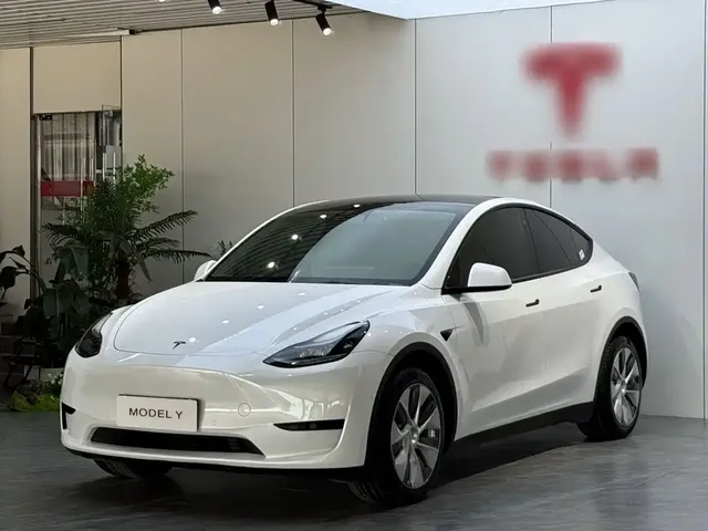 Tesla Model Y 2022 Rear-Wheel Drive Version