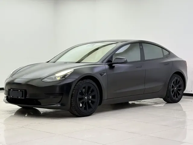 Tesla Model 3 2021 Standard Range Rear-Wheel Drive Upgrade