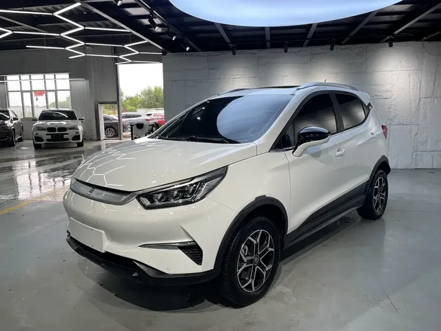 BYD Yuan Pro 2021 401KM Premium Model