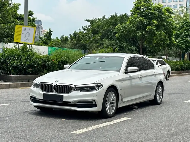 BMW 5 Series New Energy 2020 530Le Range Upgrade Luxury Package