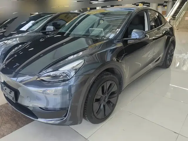 Tesla Model Y 2024 Rear-Wheel Drive Version