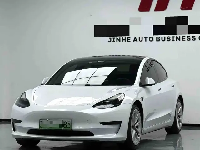 Tesla Model 3 2021 Facelift Standard Range RWD Upgrade 3D1
