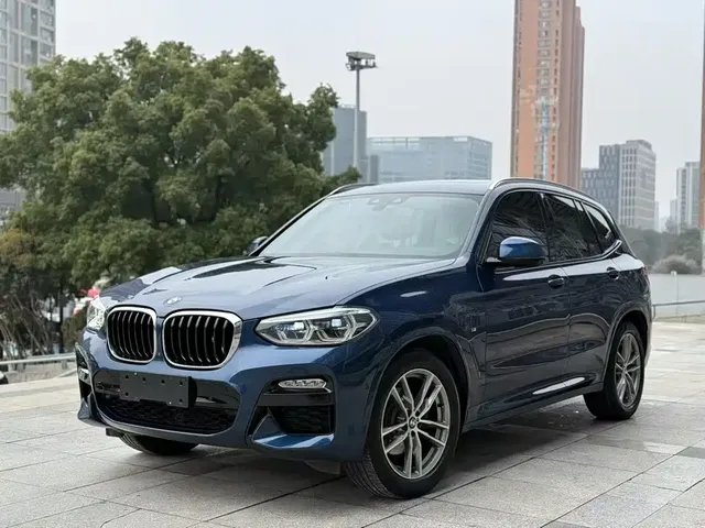 BMW X3 2018 xDrive30i Leading M Sport Package China V