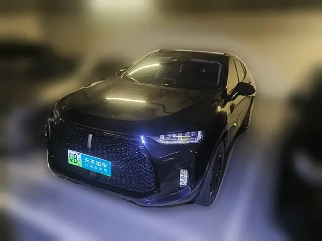 WEY P8 2018 2.0T Flagship Model