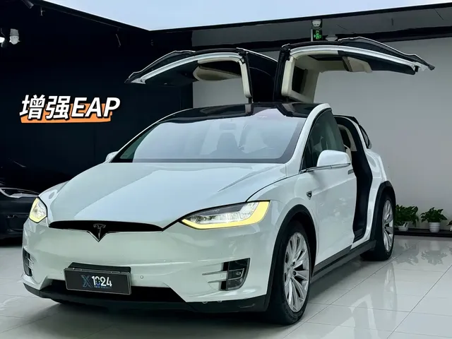 Tesla Model X 2017 Model X 100D Long Range