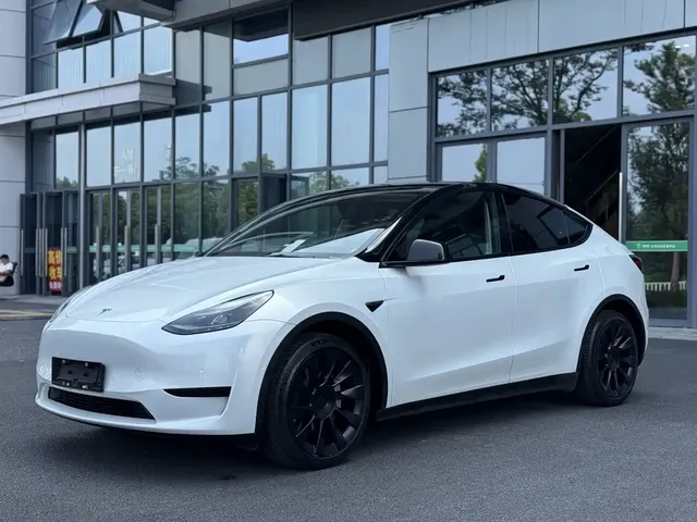 Tesla Model Y 2022 Rear-Wheel Drive Version