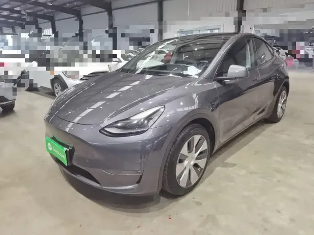 Tesla Model Y 2021 Long Range All-Wheel Drive 3D7