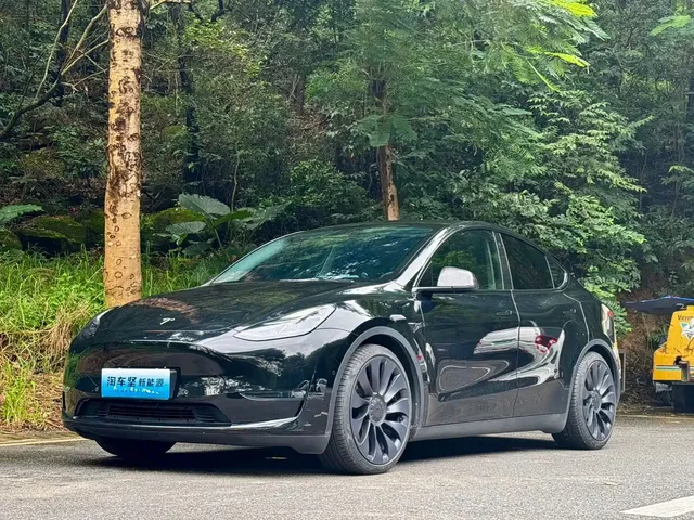 Tesla Model Y 2022 Performance High-Performance All-Wheel Drive Version