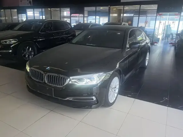 BMW 5 Series 2020 530Li Leading Luxury Package