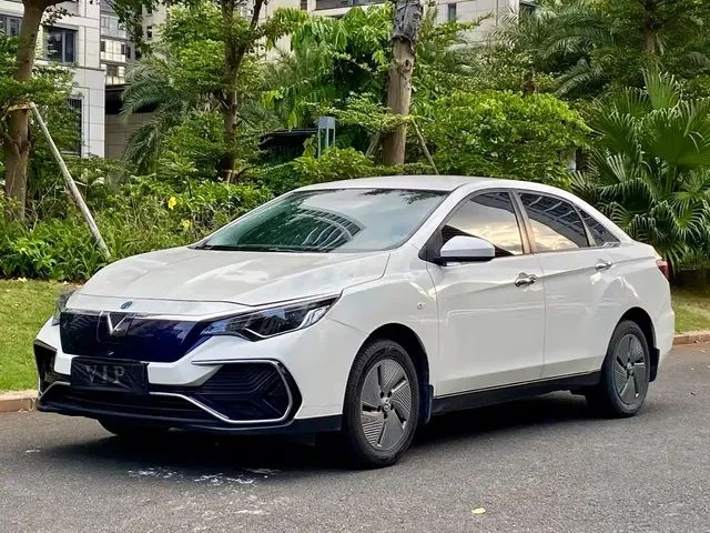 Venucia D60EV 2023 PLUS Smart Drive SI Edition
