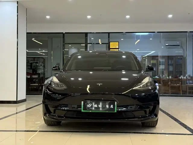 Tesla Model 3 2021 Standard Range Rear-Wheel Drive Upgrade