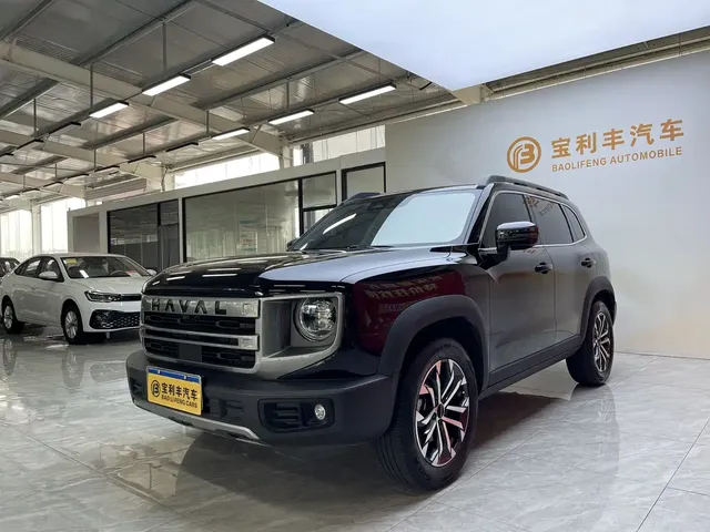 Haval Big Dog 2024 1.5T DCT Border Collie Edition