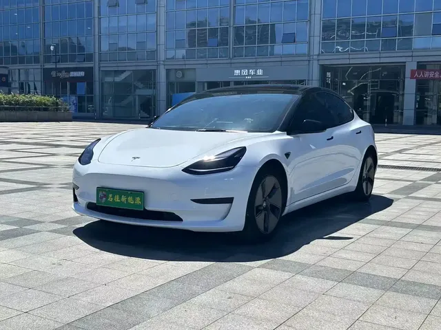 Tesla Model 3 2020 Standard Range Rear-Wheel Drive Upgrade