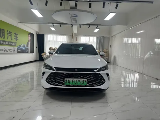 BYD Qin PLUS 2025 DM-i Smart Drive 55KM Leader