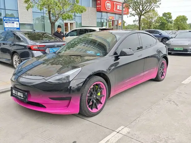 Tesla Model 3 2022 Model Rear-Wheel Drive Version