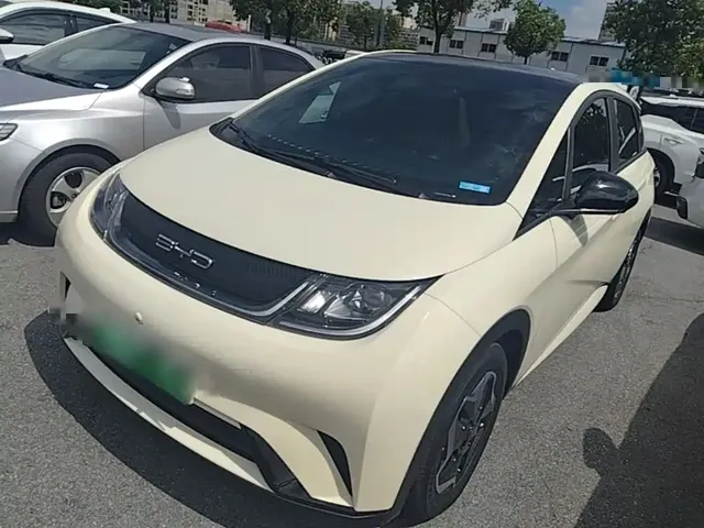 BYD Dolphin 2021 Model 405km Fashion Edition