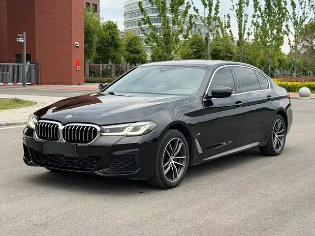 BMW 5 Series 2021 530Li Leading Luxury Package