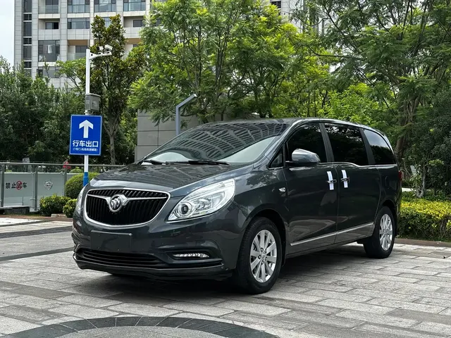 Buick GL8 2018 28T Luxury Model China VI