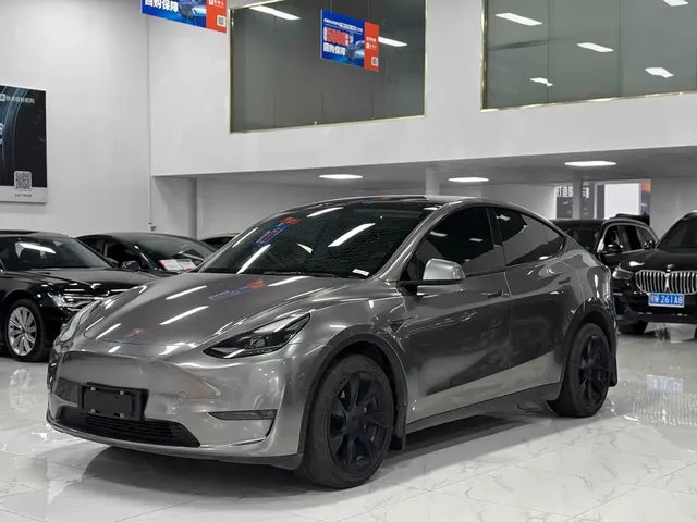 Tesla Model Y 2021 Standard Range Rear-Wheel Drive