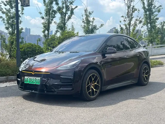 Tesla Model Y 2021 Standard Range Rear-Wheel Drive