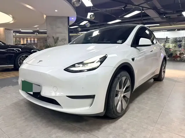 Tesla Model Y 2021 Standard Range Rear-Wheel Drive