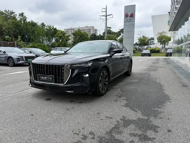 Hongqi H9 2024 2.0T Qi Chang Private Fashion Edition